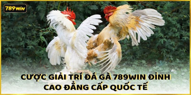 Các loại hình đá gà hot hit nhất tại nhà cái 789WIN