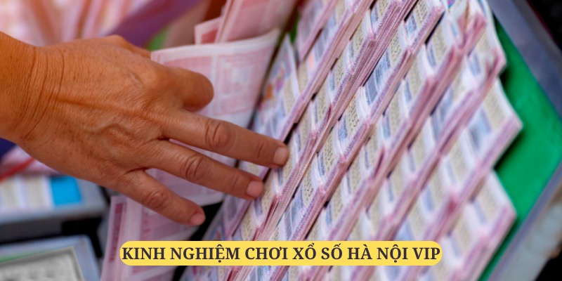 Học hỏi một vài kinh nghiệm đáng quý từ những người đi trước